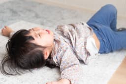 こんなときどうやって躾ければいいの? 具体的なケースと考え方を紹介