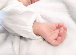 https://images.microcms-assets.io/assets/6c64954891644003a572887d8ebf23fb/f45336a093754fe391d2ab562ebb776e/baby%E2%80%90palm.jpg