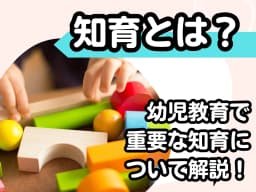 知育とは?幼児教育で重要な知育について解説!